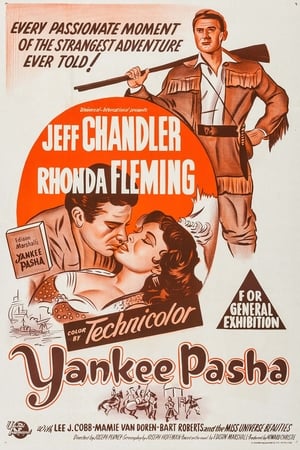 Image Yankee Pasha