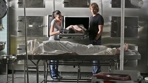 Agenci NCIS: Los Angeles: Sezon 6 Odcinek 2