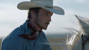 The Rider (2017)