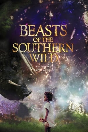 Poster Beasts of the Southern Wild 2012