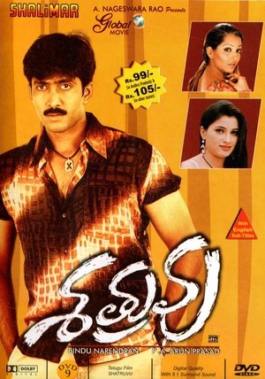 Poster Shatruvu 2004