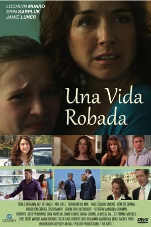 Poster Una vida robada 2013