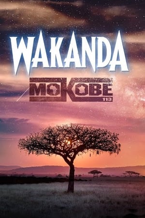 Poster Wakanda 2018