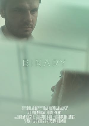 Poster Binary 2017