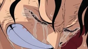 One Piece: Season 13 Episode 477