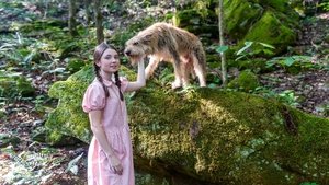 The Science Adventures of Tom & Huck