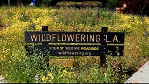 MOCAtv with Philippe Vergne