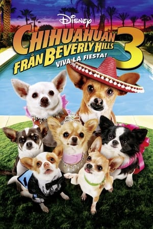 Poster Chihuahuan från Beverly Hills 3 2012