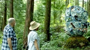 Journeys in Japan: 11×16