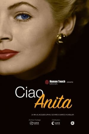 Poster Ciao Anita 2021
