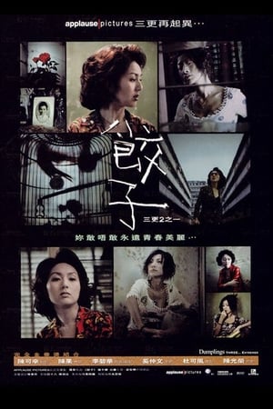 Poster 饺子 2004