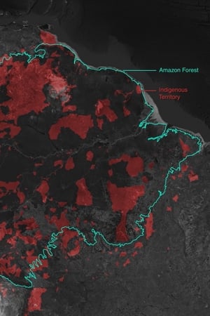 Gold Mining and Violence in the Amazon Rainforest