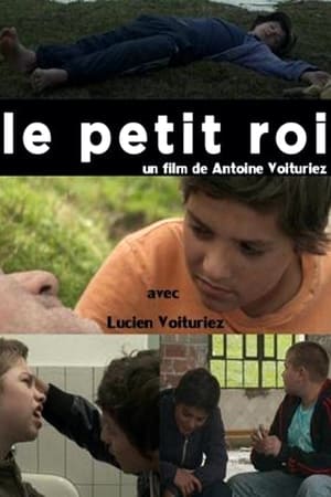 Poster Le petit roi 2012