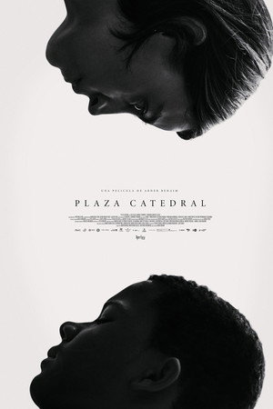 Plaza Catedral 8