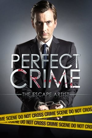 Poster Perfect Crime 2013