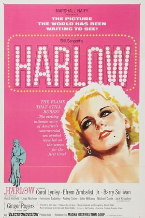 Poster Harlow 1965