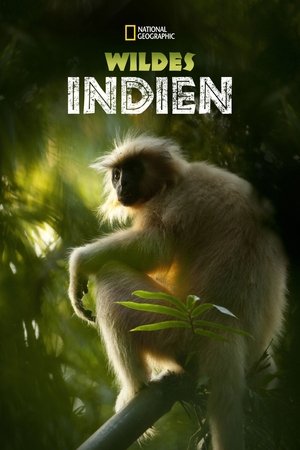 Image Secrets of Wild India