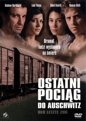 Poster Ostatni pociąg 2006