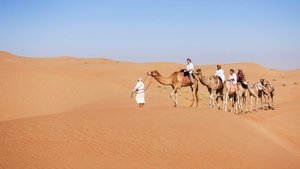 Anthony Bourdain: Parts Unknown: Season 9 Episode 6
