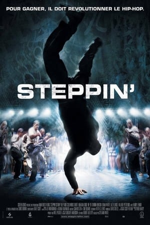 Poster Steppin' 2007