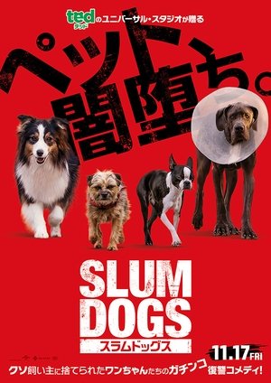 <Images posters