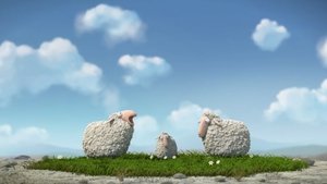 Lambs