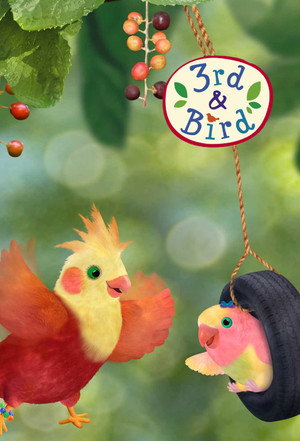 3rd & Bird's Poster