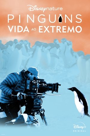 Image Penguins: Life on the Edge