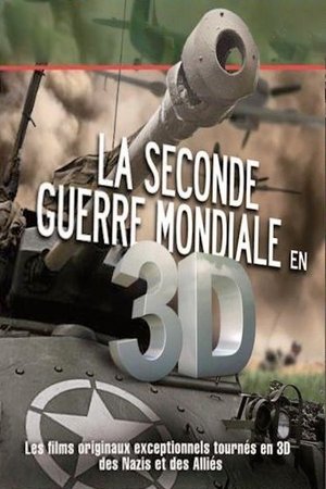 Affiche de La Seconde Guerre Mondiale en 3D