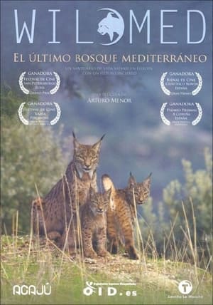 Image WildMed The Last Mediterranean Forest