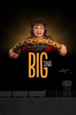 Poster Big Sonia (2017)