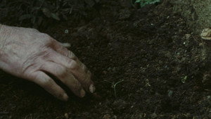 Image 2.5