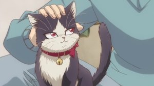 My Roommate is a Cat Season 1 Episode 4