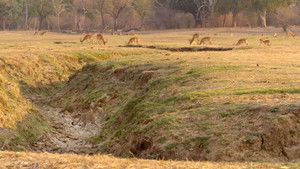 Cazadores de África: 1×1