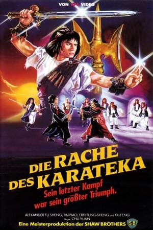 Image Die Rache des Karateka