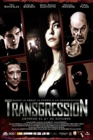 Poster Transgression (2011)