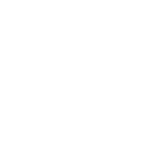 Zwart Arbeid