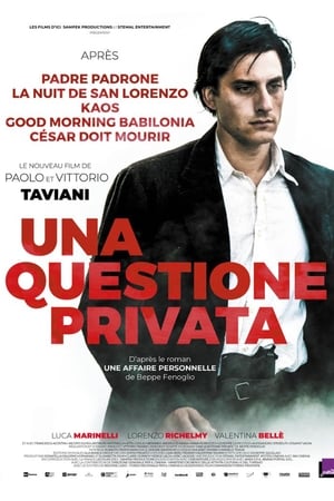 Poster Una questione privata 2017