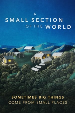 Poster A Small Section of the World (2014)