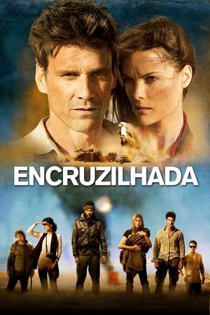 Poster Encruzilhada 2013