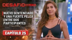 Episode 25