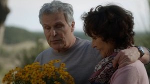 saison 6 épisode 104