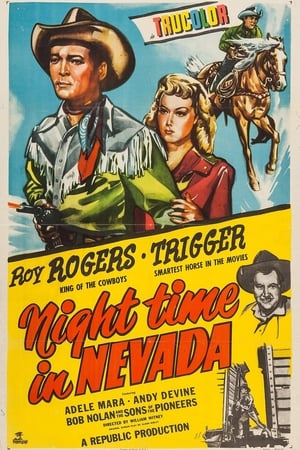 Night Time in Nevada poster