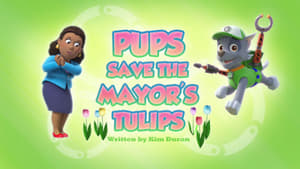 Image Pups Save the Mayor's Tulips