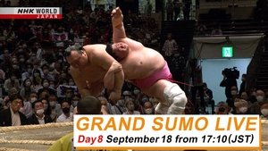 September Tournament Day 8 (Halfway Point)