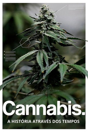 Cannabis: A História Através dos Tempos