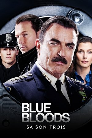 Blue Bloods: Saison 3