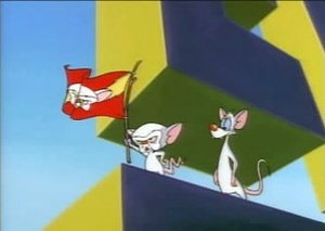 Pinky & der Brain: 2×1