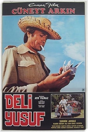 Deli Yusuf poster