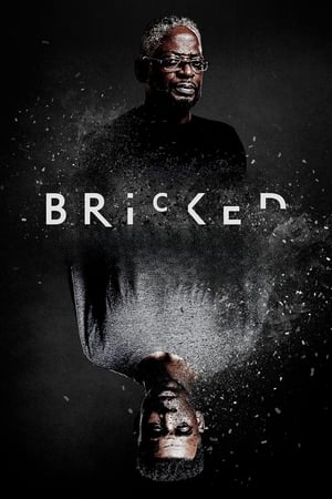 Poster Bricked 2019